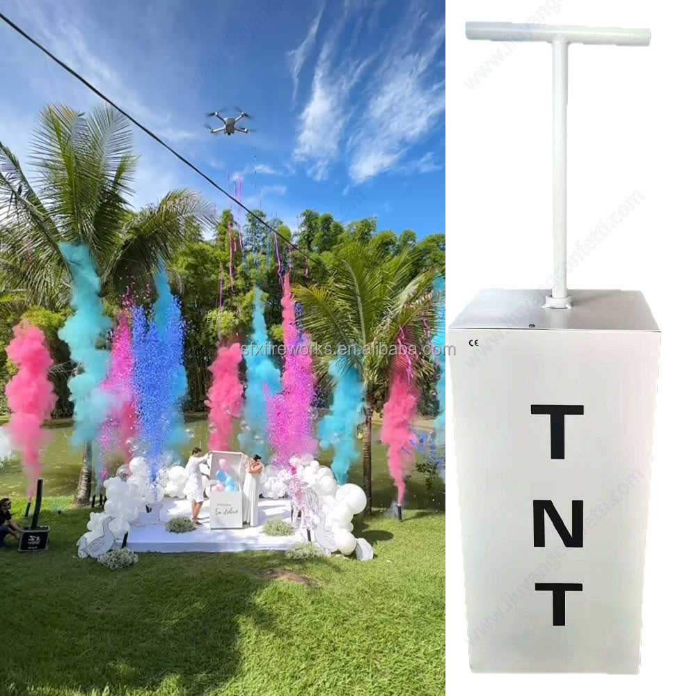 Electric Gender Reveal Smoke B - Confetti Cannon Tube review and price